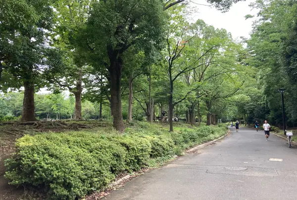 木場公園の写真・動画_image_781989