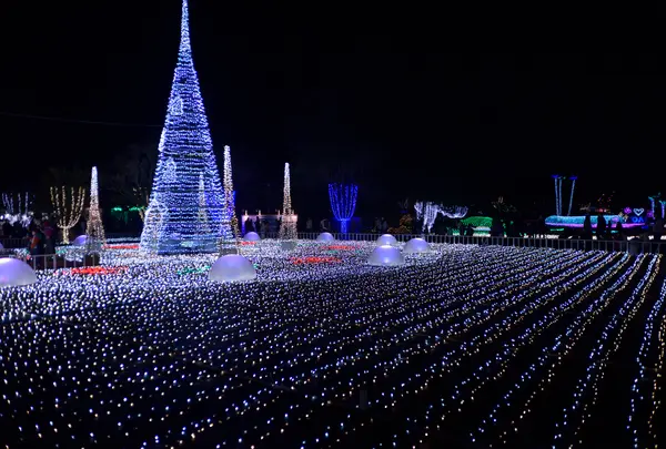 フローランテ宮崎の写真・動画_image_782982