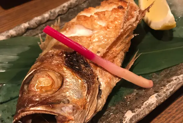 てまひま料理 根っこやの写真・動画_image_783878