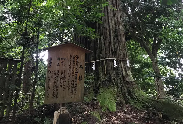 須佐神社の写真・動画_image_783880