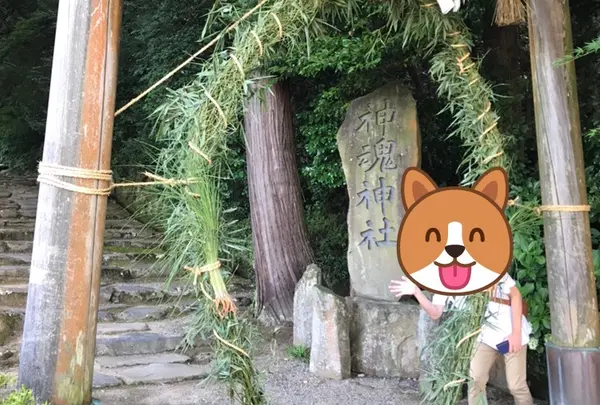 神魂神社の写真・動画_image_783887