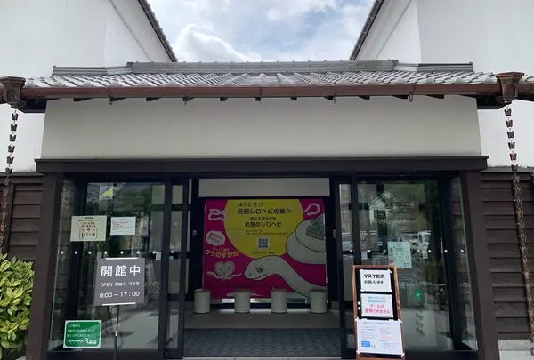 岩国シロヘビの館の写真・動画_image_784105