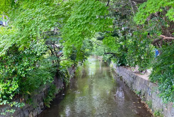 高瀬川の写真・動画_image_785035