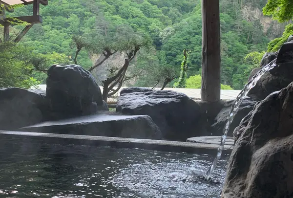 老神温泉 伍楼閣の写真・動画_image_788211