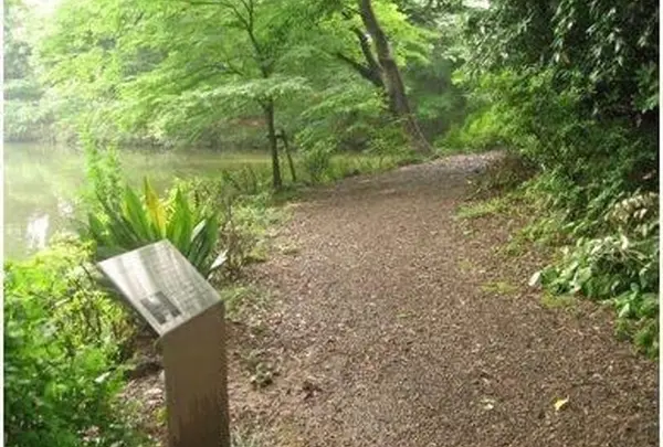 血洗いの池