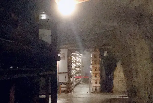 島崎酒造