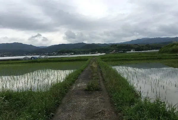 円照寺が作品にある月修寺のモデル