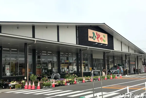 とれたて市ひぞっこ