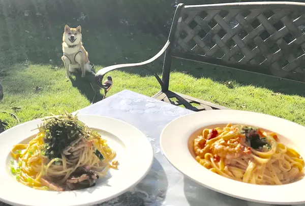 カフェ＆レストラン周