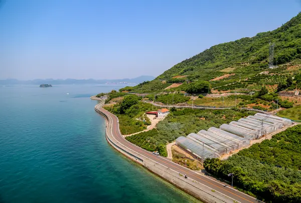 生口島の写真・動画_image_789810