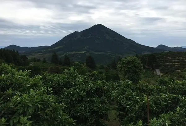 金峰山の写真・動画_image_789855