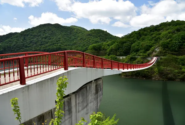 夢吊橋の写真・動画_image_790476