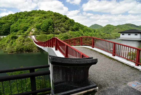 夢吊橋の写真・動画_image_790477