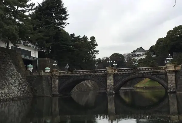 皇居の写真・動画_image_790539