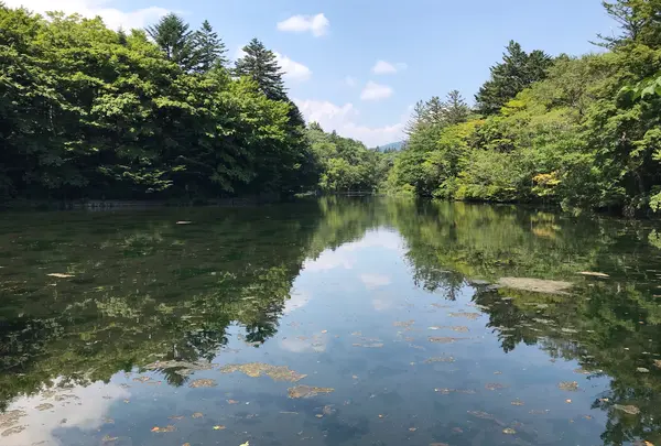 雲場池の写真・動画_image_791027