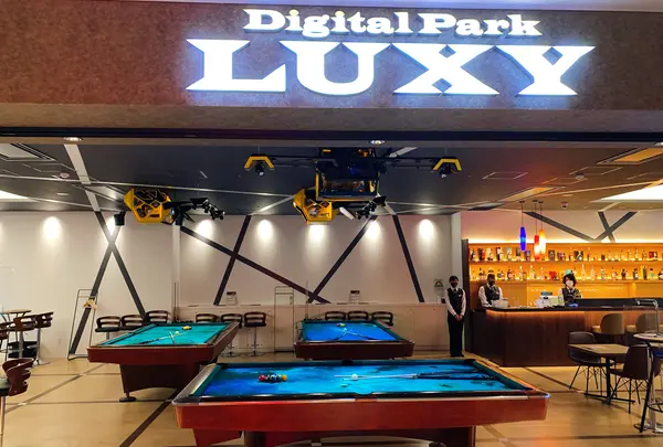 【閉業】Digital Park LUXYの写真・動画_image_791479