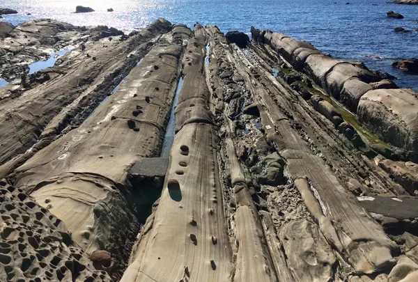竜串海岸