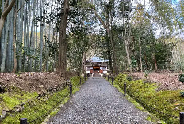 地蔵院（竹の寺）