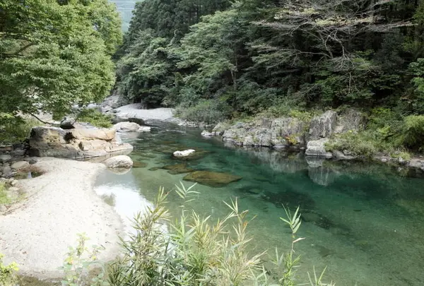 大芦川