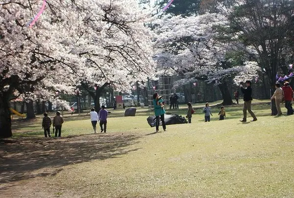 黒磯公園