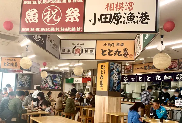 小田原漁港 とと丸食堂