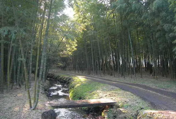 若山農場