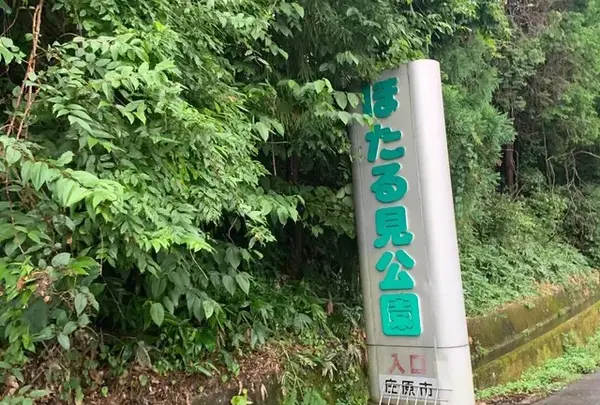 ほたる見公園の写真・動画_image_795075
