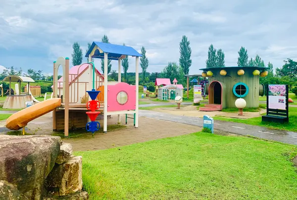せら夢公園の写真・動画_image_795167