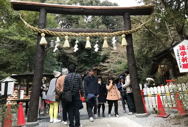 「源氏物語」の賢木（さかき）
　野宮神社