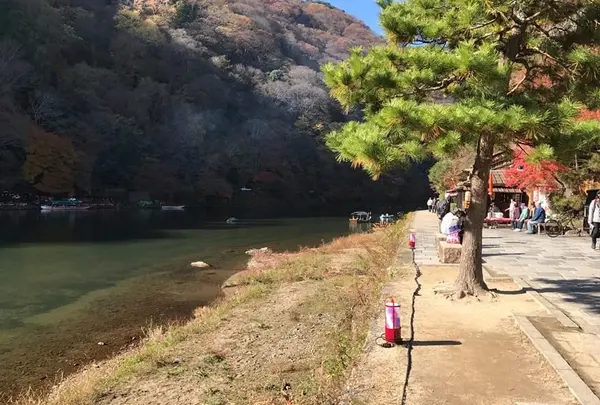 「源氏物語」の明石の君の大堰山荘
　　亀山公園