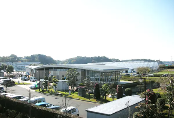 道の駅しょうなん