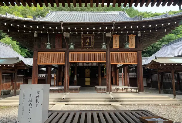 愛媛縣護國神社の写真・動画_image_797035