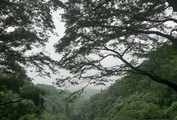 灰ヶ峰