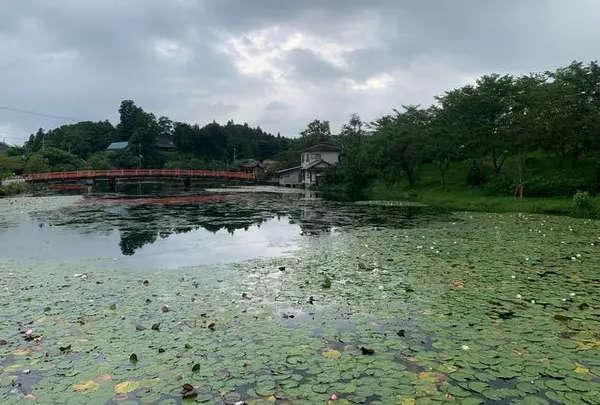 上野池