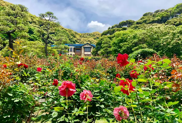 鎌倉文学館の写真・動画_image_799540