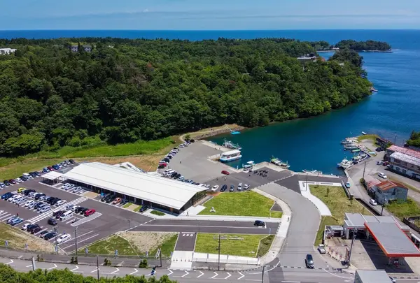 イカの駅つくモール