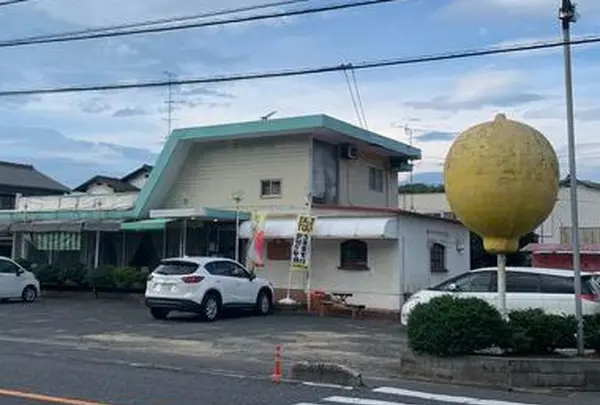 サンレモンの写真・動画_image_802355