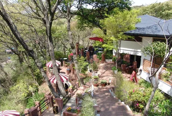 CafeTerrace樹ガーデン