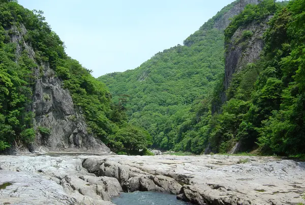 断魚渓の写真・動画_image_802736