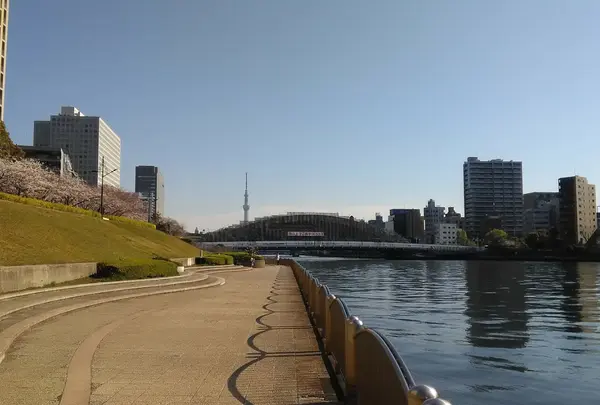 新川公園