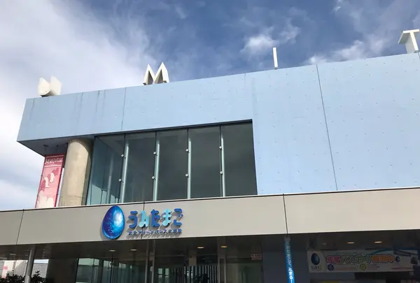 大分マリーンパレス水族館 うみたまごの写真・動画_image_807158