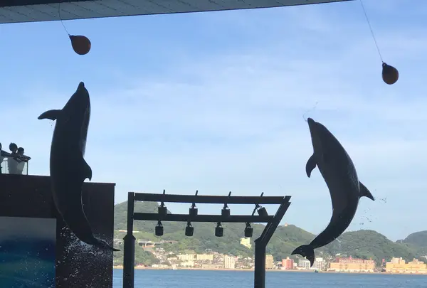 下関市立しものせき水族館・海響館