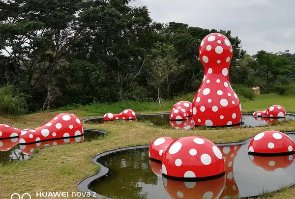 KURKKU FIELDSクルックフィールズの写真・動画_image_807948