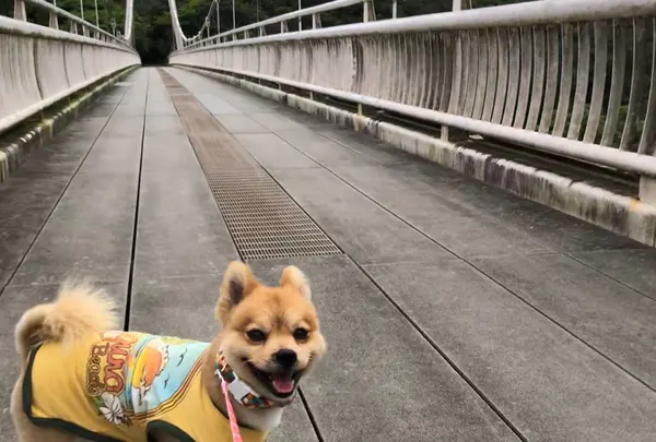 バンナ公園の写真・動画_image_808330