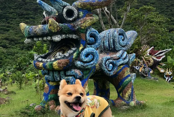 米子焼シーサー農園の写真・動画_image_808341