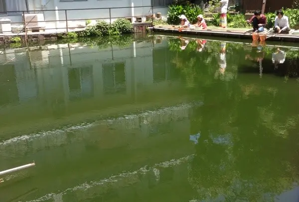 つりぼり衆楽園