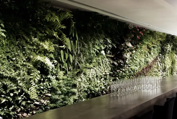 WALL