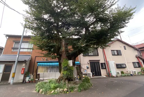 濃姫 遺髪塚の写真・動画_image_811833
