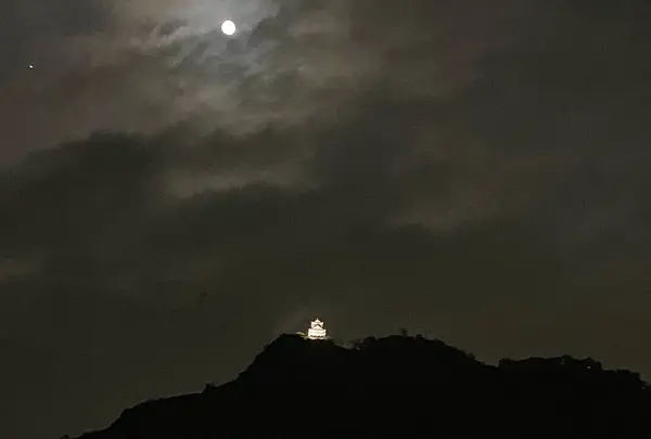 金華山の写真・動画_image_811836