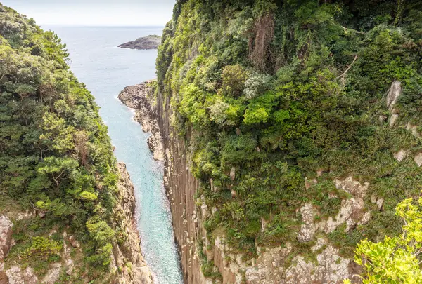 日向岬 細島灯台の写真・動画_image_812333